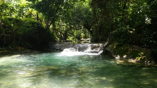 Mayfield Falls & Mineral Springs (Original)