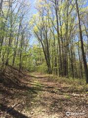 Nathan Bedford Forrest State Park