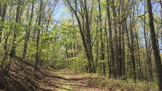 Nathan Bedford Forrest State Park