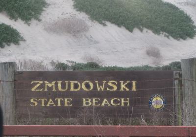 Zmudowski State Beach