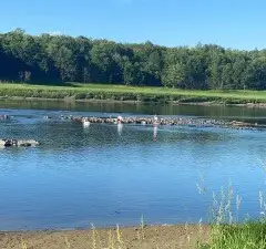 Franz Jevne State Park