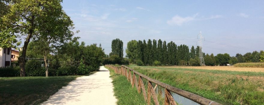 Oasis Mill Todori