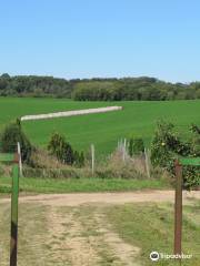 Apple Ridge Orchard