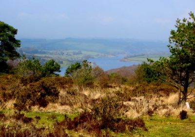 Dulverton National Park Centre