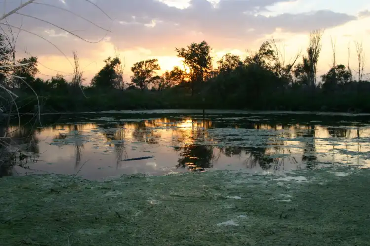 Hôtels à : Comte de Terry