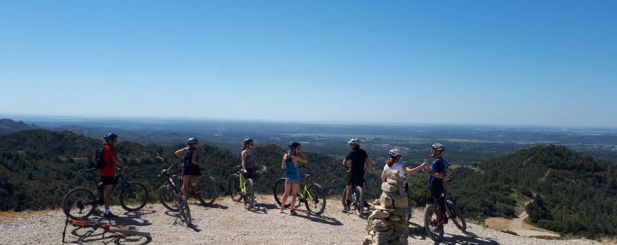 Maussane-les-Alpilles