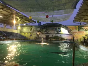 Dolphinarium "Nemo"