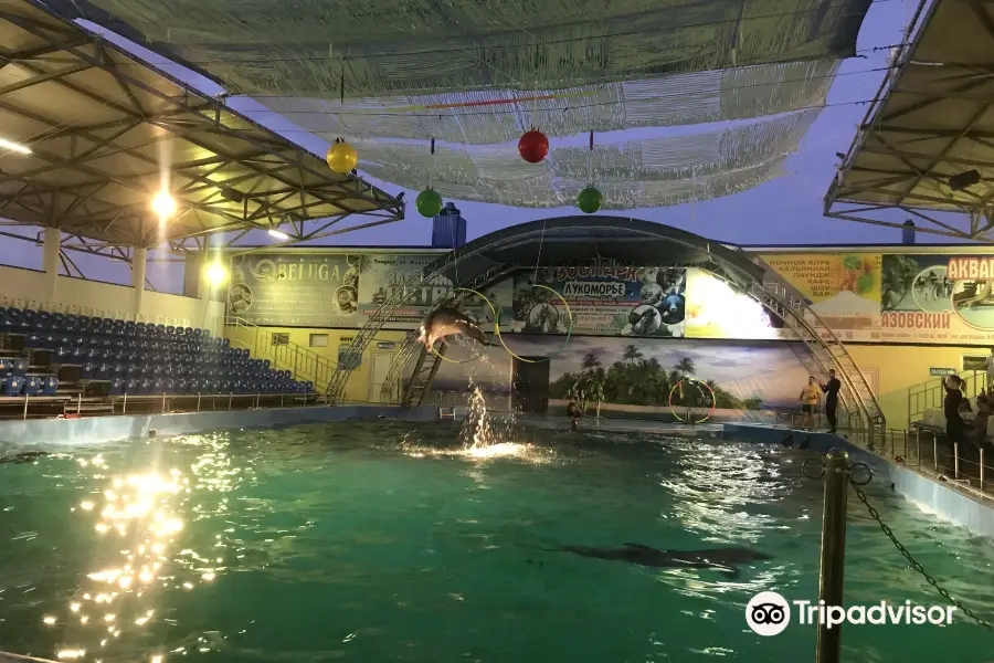 Dolphinarium "Nemo"