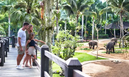 Mason Elephant Park & Lodge