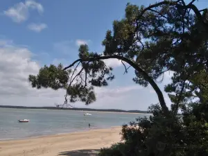 Plage de Gatseau