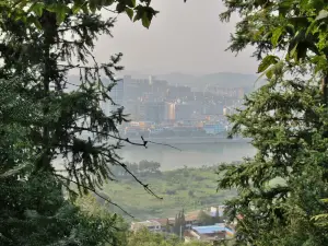 윈비펑 삼림공원
