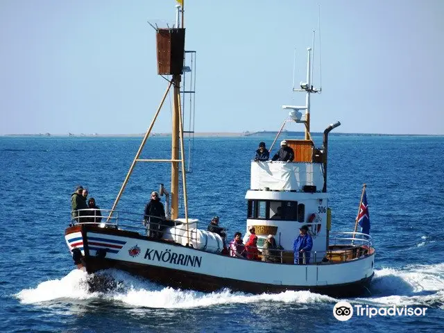 Whale Watching Hjalteyri