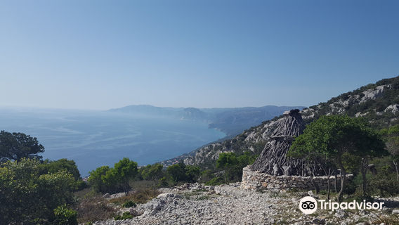 Monte ruju