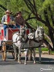 Arizona Horse Carriage & Wagon