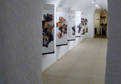 Cueva Museo Centro de Interpretación Cuevas de Guadix