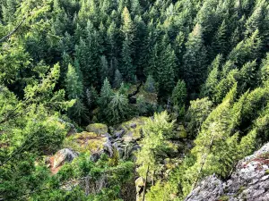 오이스터 돔 트레일헤드