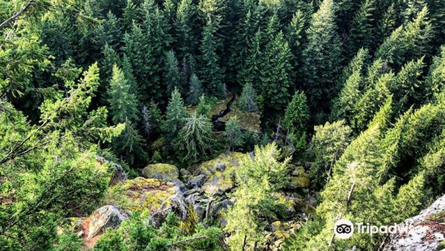 Oyster Dome Trailhead
