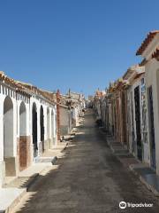 Cementerio S. Ildefonso