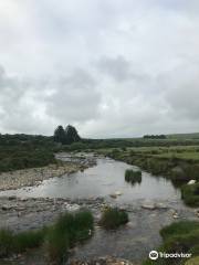 Upper Plym Valley