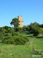 Area Marina Protetta Torre del Cerrano