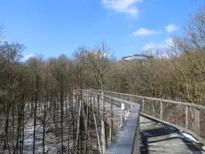 Baumwipfelpfad Steigerwald