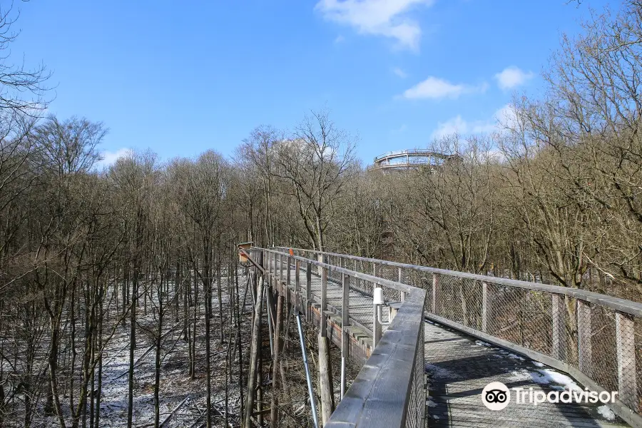 Baumwipfelpfad Steigerwald