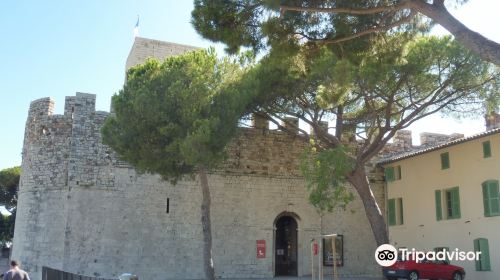 Museum of the Castre