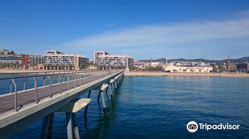 Pont del Petroli