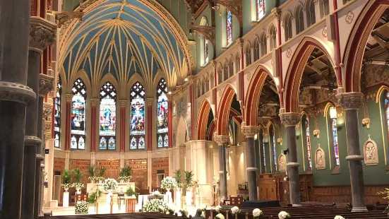 The Cathedral of the Immaculate Conception