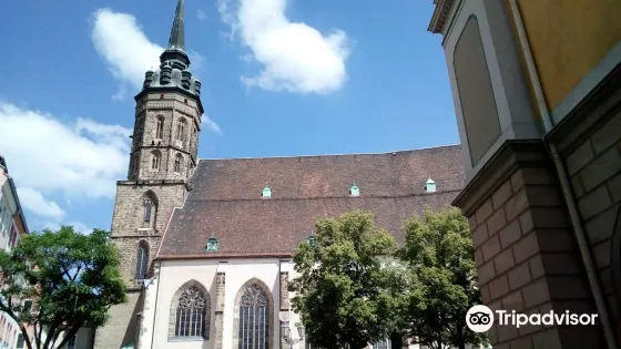 聖彼得主教座堂