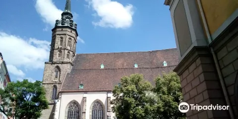 聖彼得主教座堂