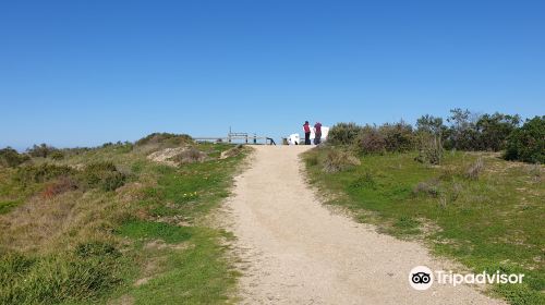 Murray Mouth Lookout