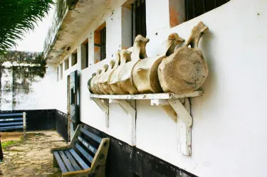 Keta