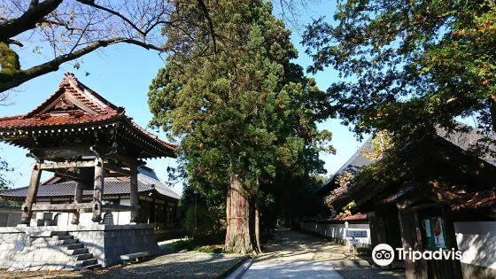 醫王寺