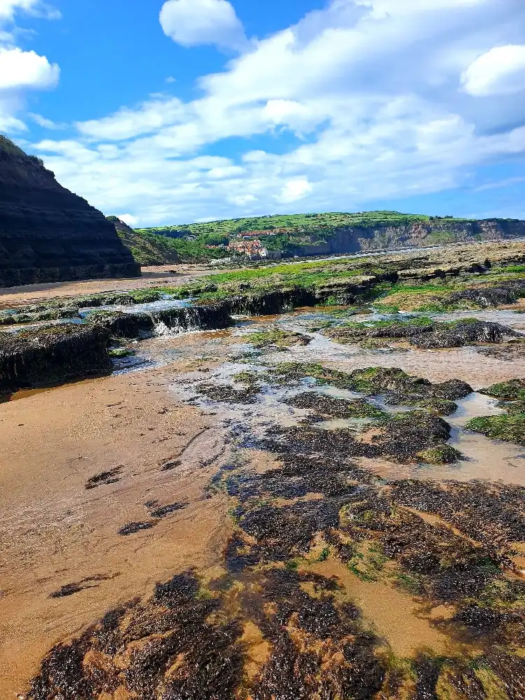 Hotels in Fylingdales