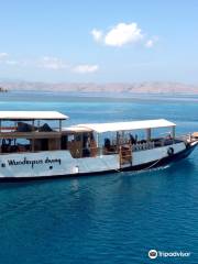 Wunderpus Liveaboard