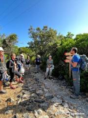 SERVIZIO TAXI - NOLEGGIO SCOOTER "Ammirando Pantelleria"