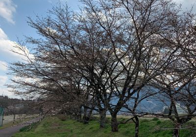 飛騨川公園