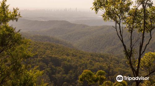 Springbrook National Park