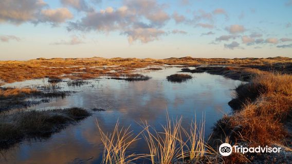 Nationalpark Thy, visitor centre Stenbjerg Landingsplads