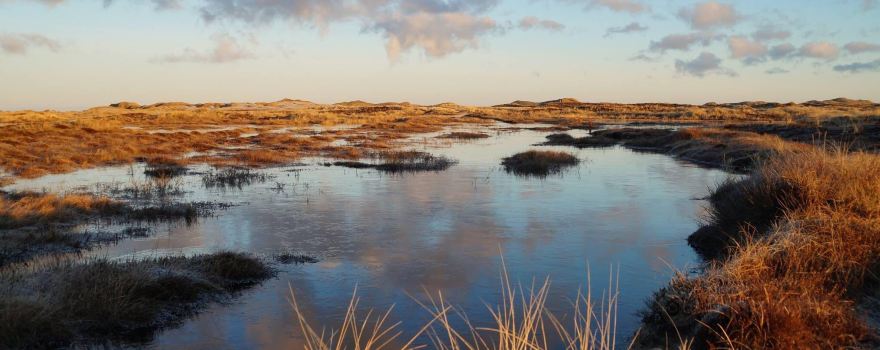 Nationalpark Thy, visitor centre Stenbjerg Landingsplads