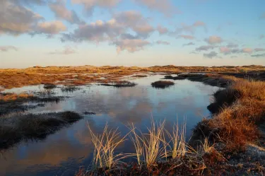 Thisted Municipality