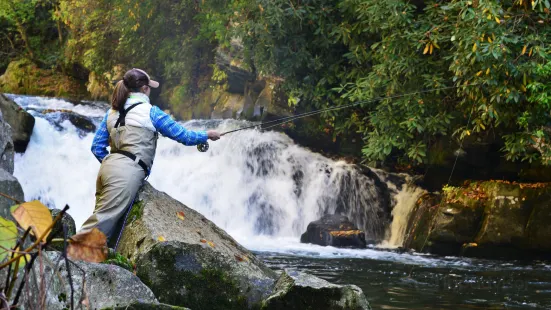 Noon Day Fly Fishing and Photography