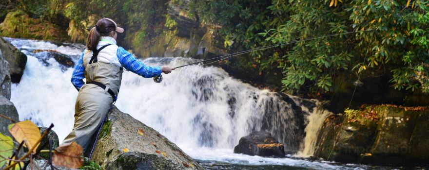 Noon Day Fly Fishing + Photography