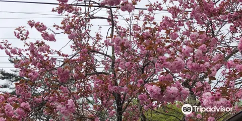 牛奶.起司 神津牧場