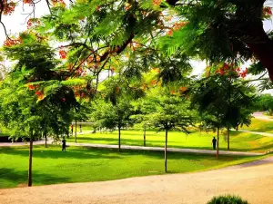 Gulshan-e-Iqbal park