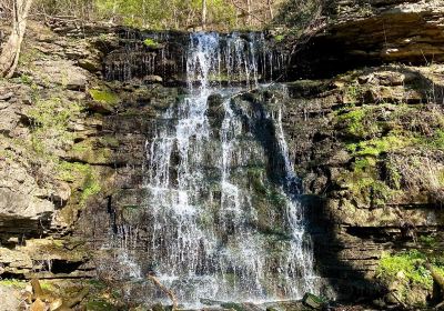 Cove Springs Park