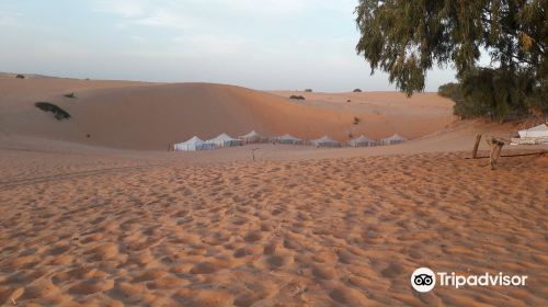 Lompoul Desert