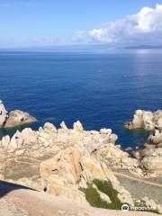 Iknòs Sardinia Sea Activities