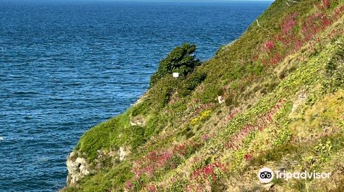 Howth Hills